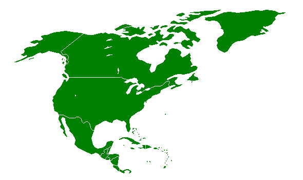 North America